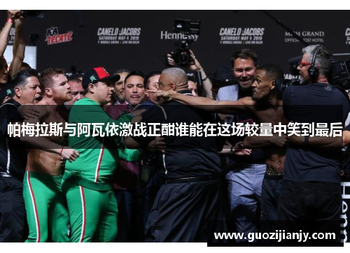 帕梅拉斯与阿瓦依激战正酣谁能在这场较量中笑到最后